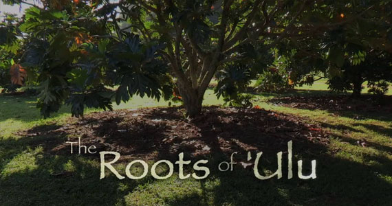 The Roots of 'Ulu